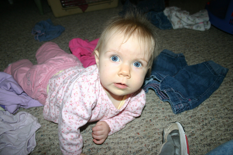 Picture 1294