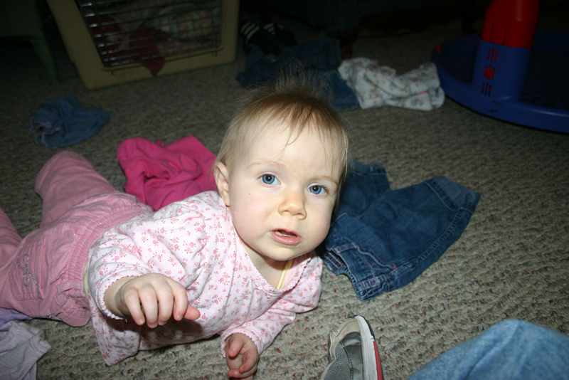 Picture 1295