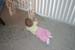 Picture 1235