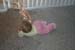 Picture 1246