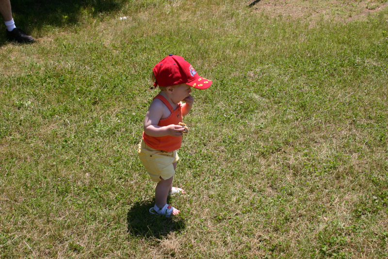 Picture 4170