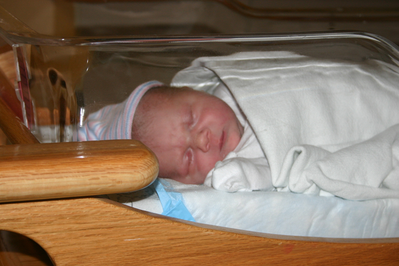 Picture 2924