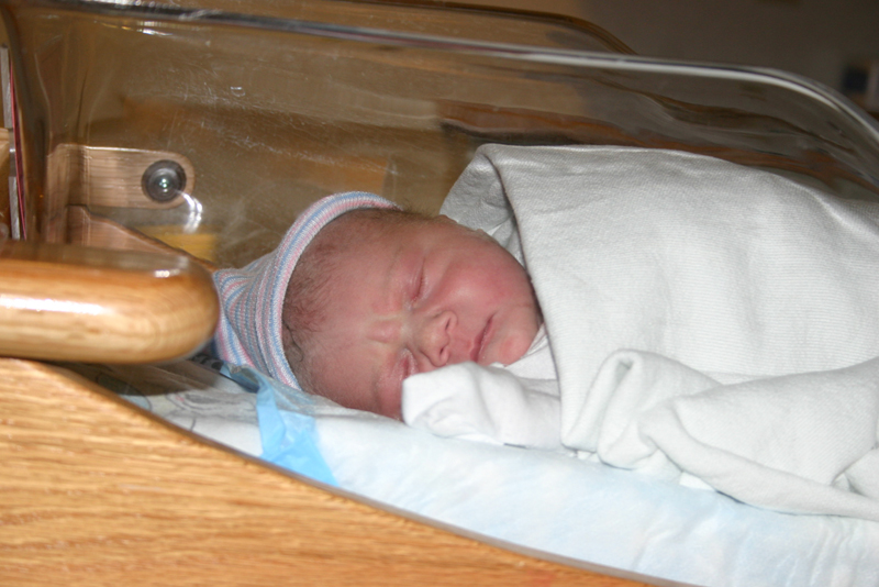 Picture 2926