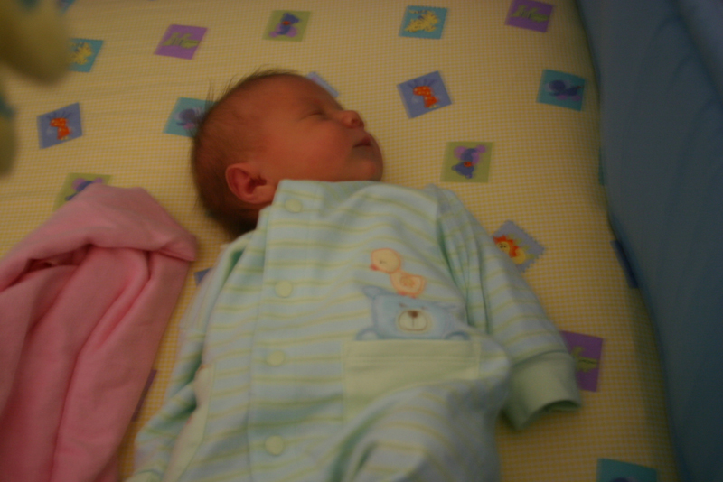 Picture 2959