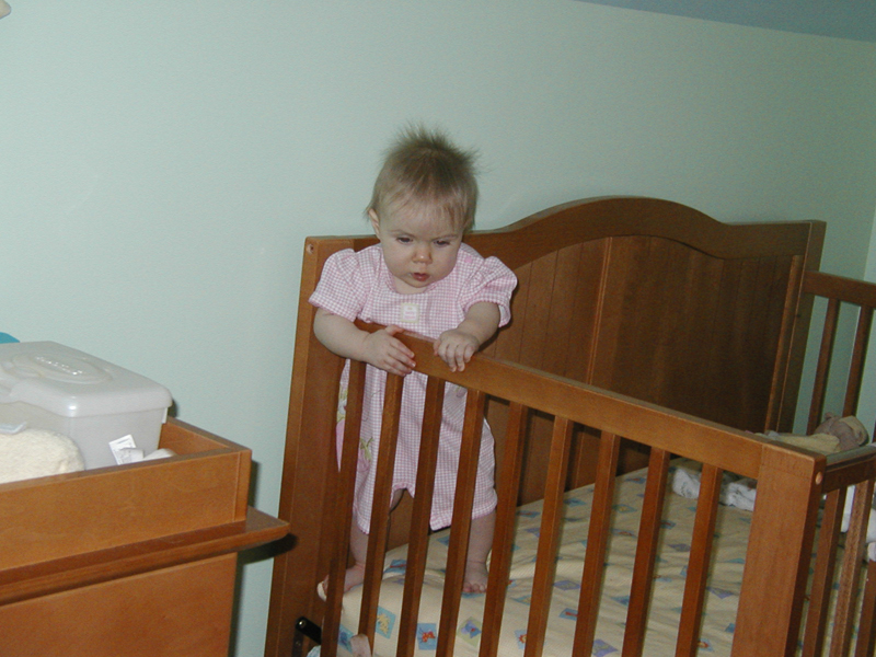Picture 1406