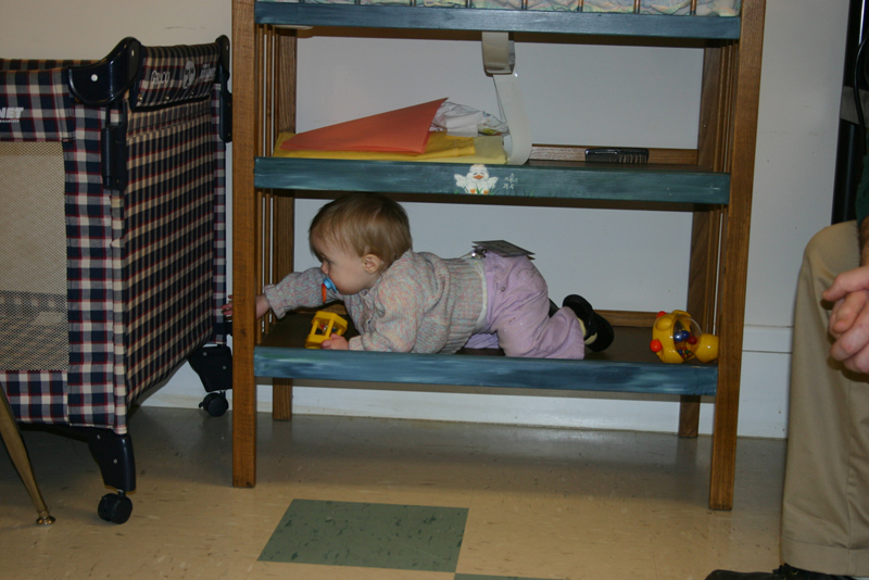Picture 2395