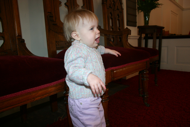 Picture 2583