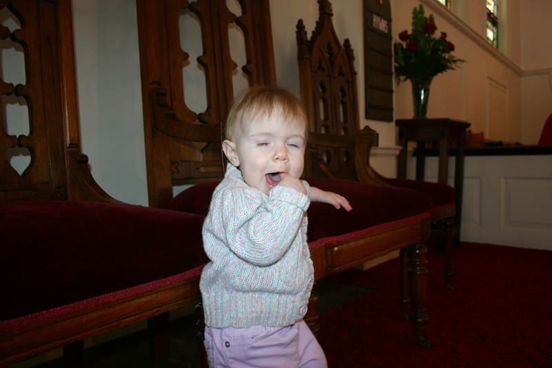 Picture 2591