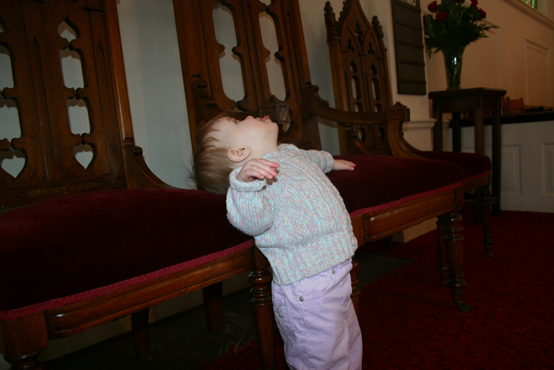 Picture 2595