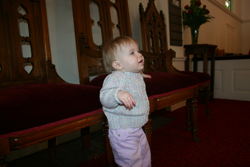 Picture 2596