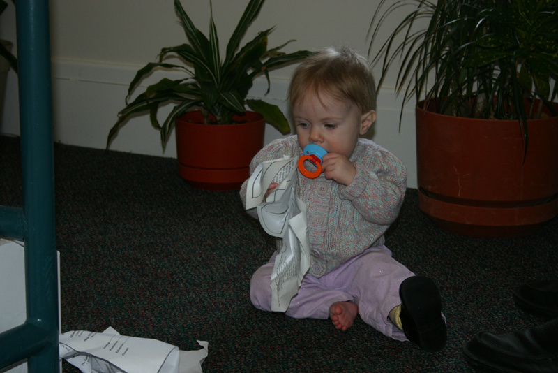 Picture 2490