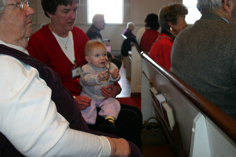 Picture 2542