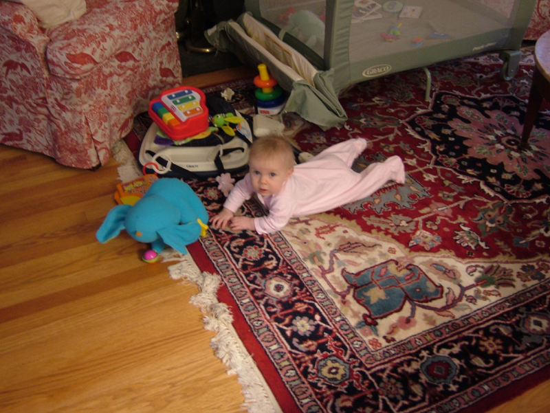 2006_1123Image0001