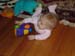 2006_1123Image0008