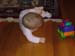 2006_1123Image0013