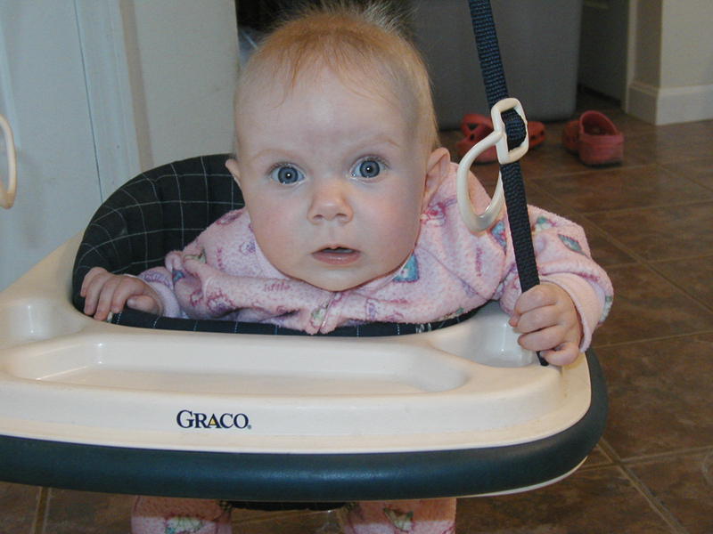 Picture 954