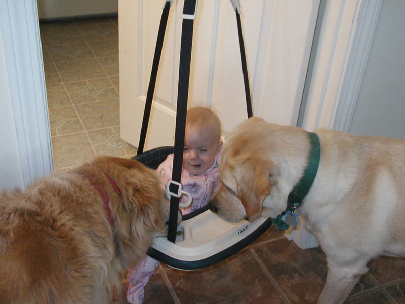 Picture 986