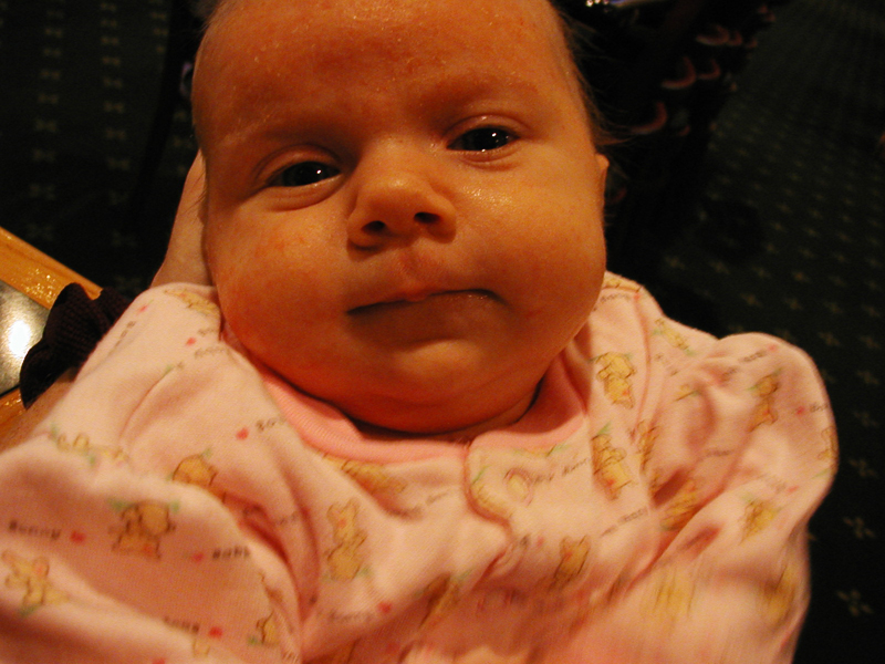 Picture 104