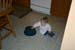 Picture 1904