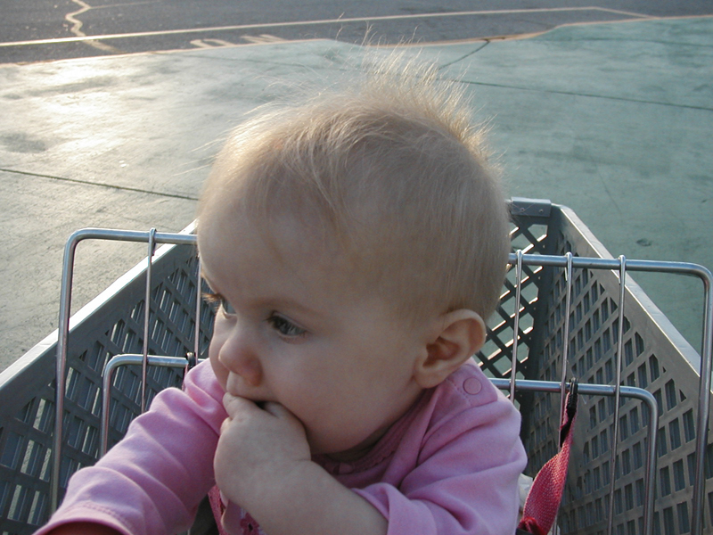 Picture 632