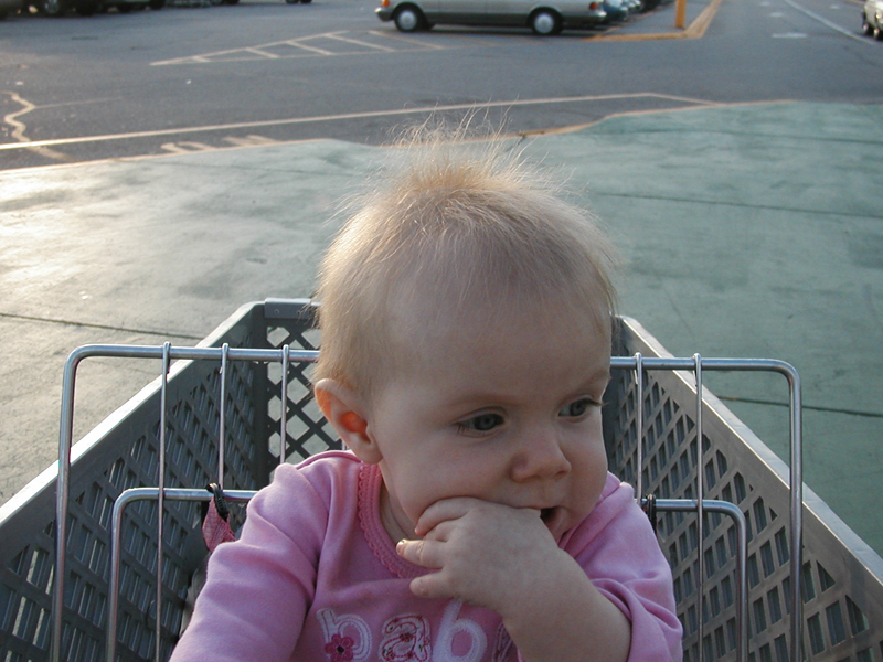 Picture 633