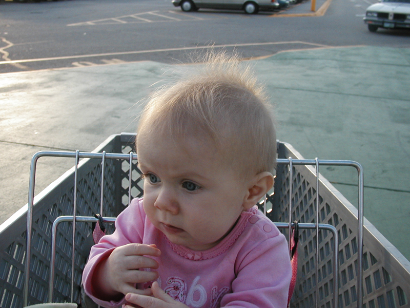 Picture 634