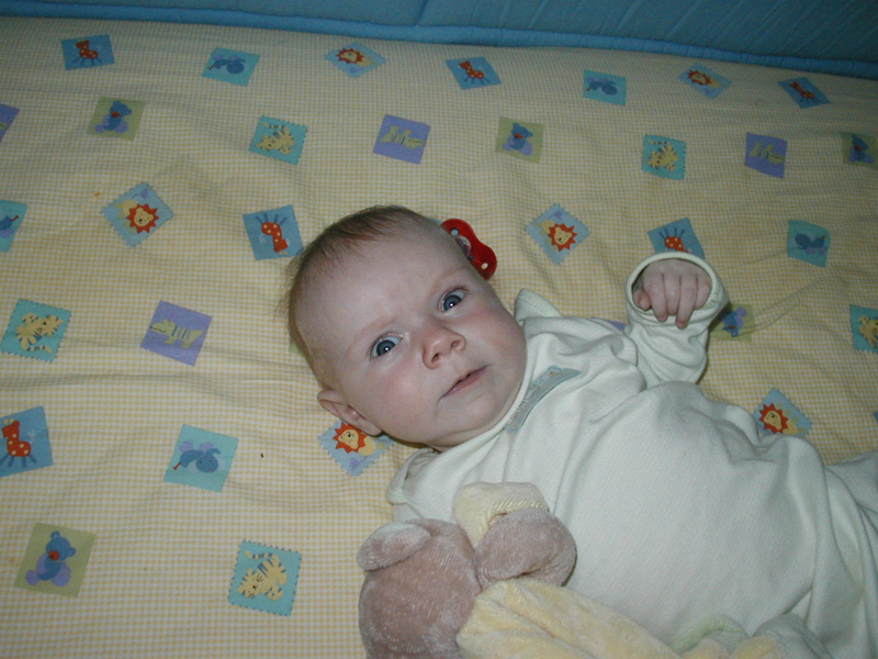 Picture 001