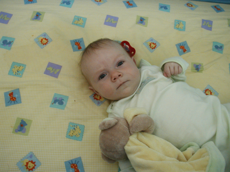 Picture 002