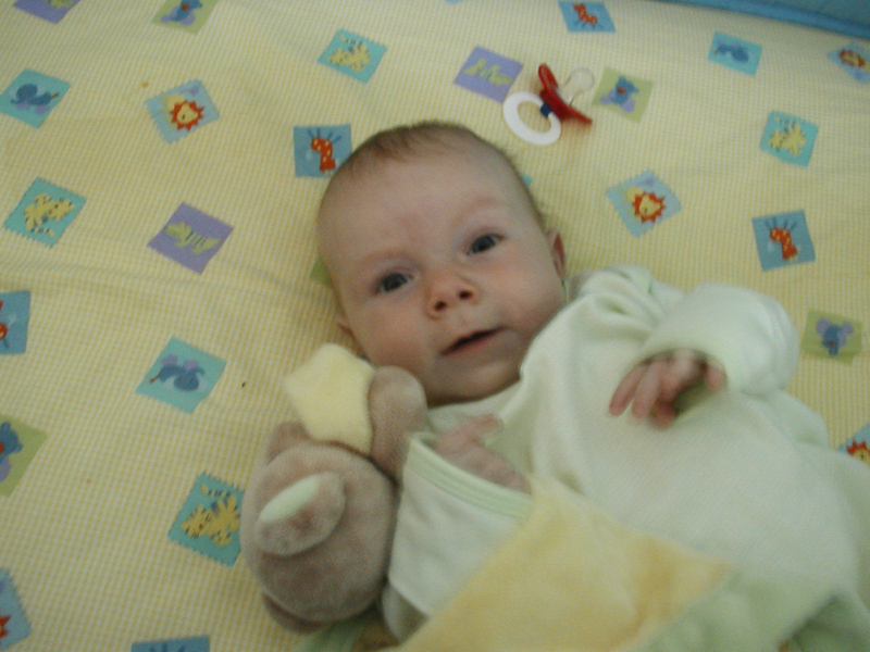 Picture 006