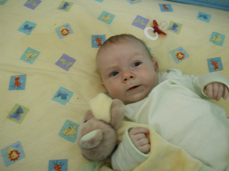 Picture 008