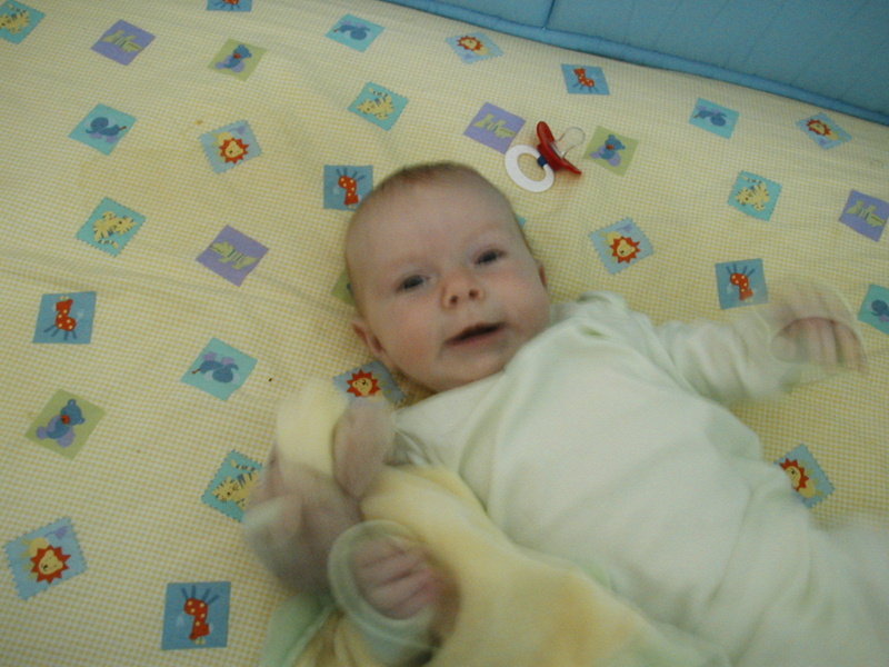 Picture 010