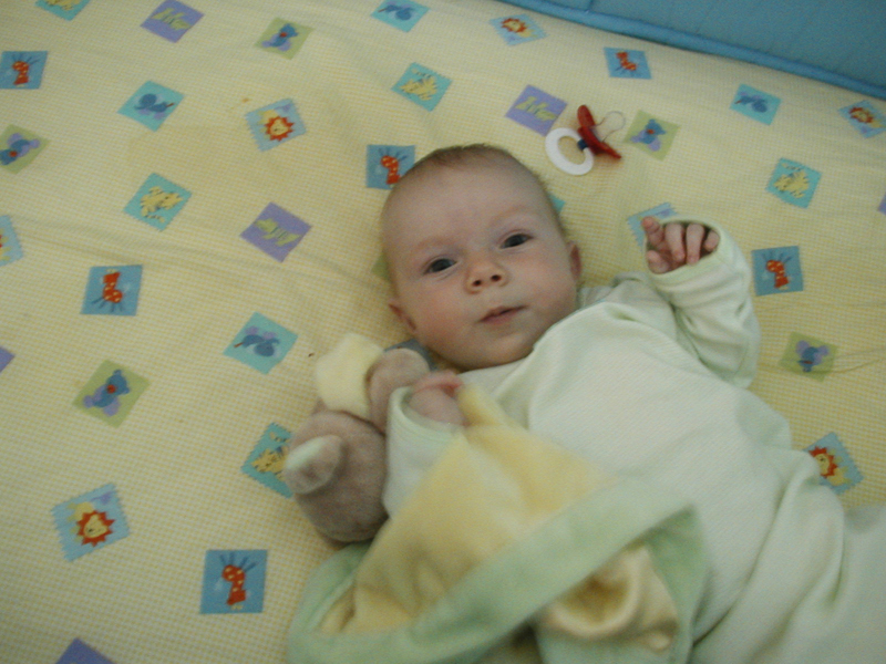 Picture 011