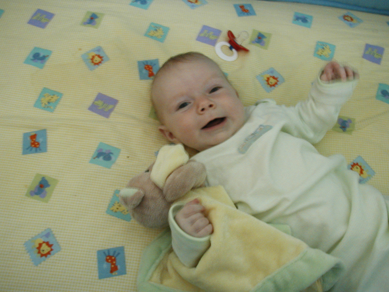 Picture 013