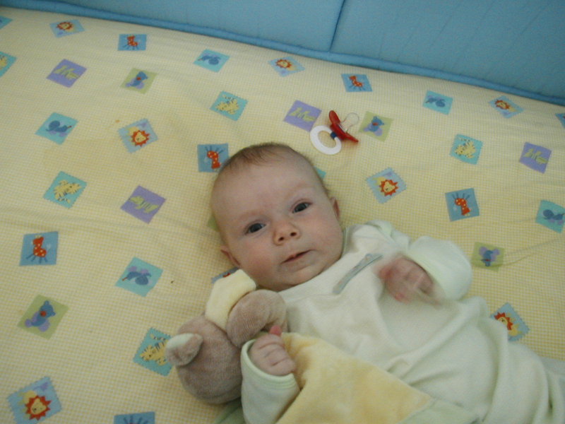 Picture 014