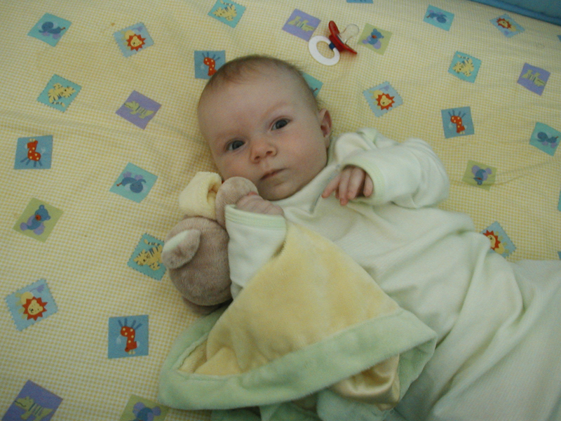 Picture 017