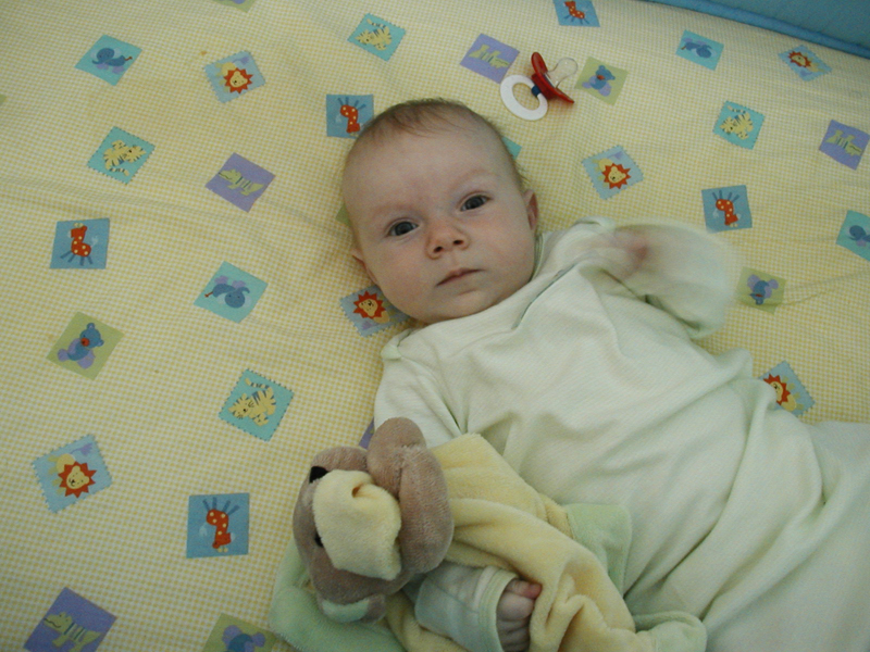 Picture 018