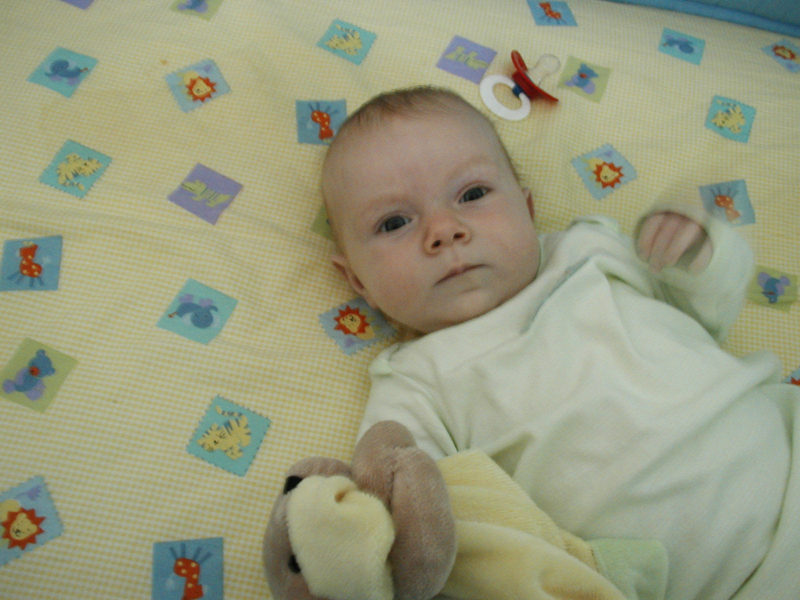 Picture 019