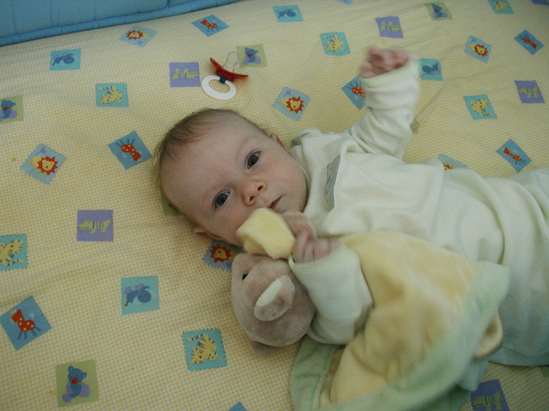 Picture 023