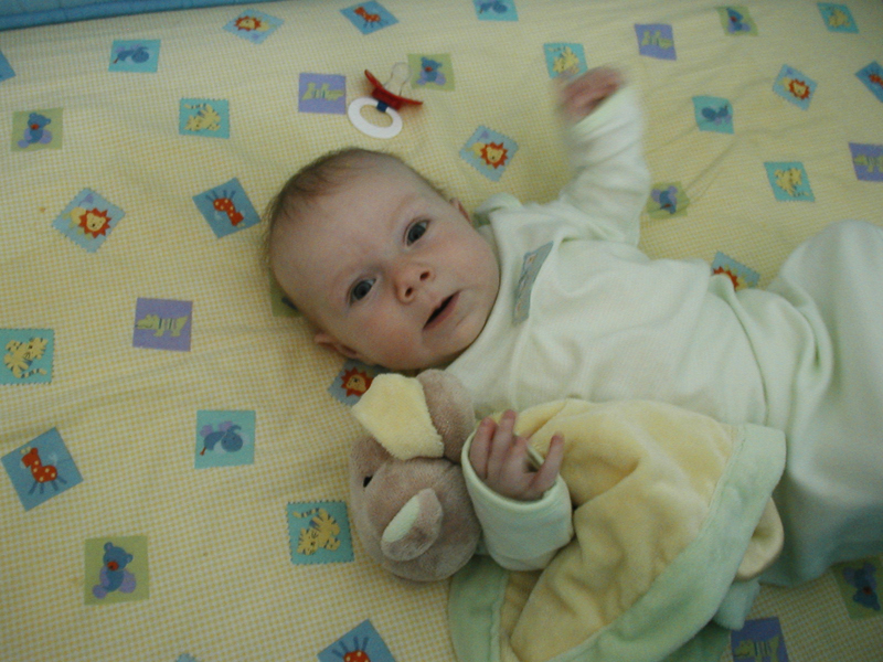Picture 025
