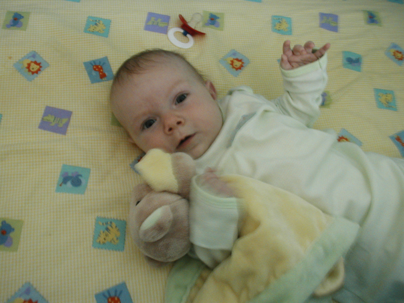 Picture 026