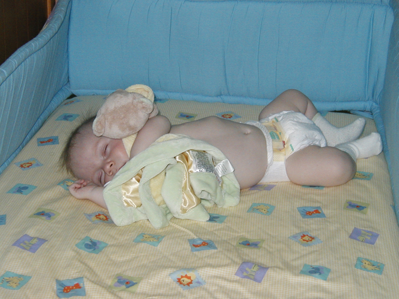 Picture 061