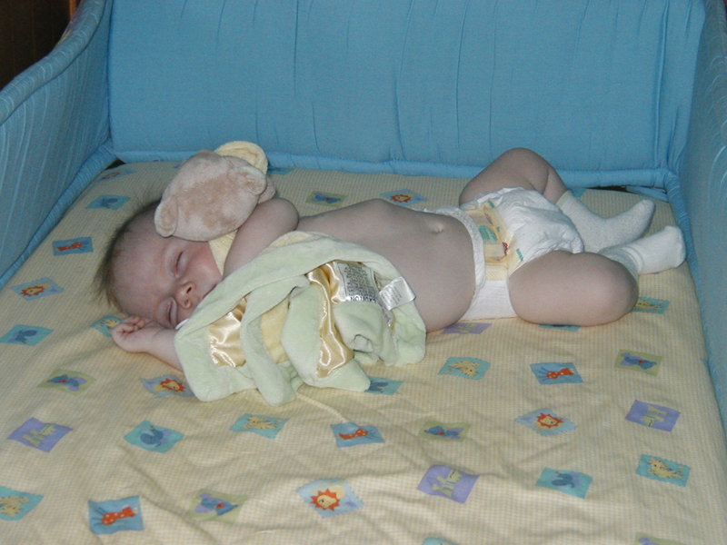 Picture 062