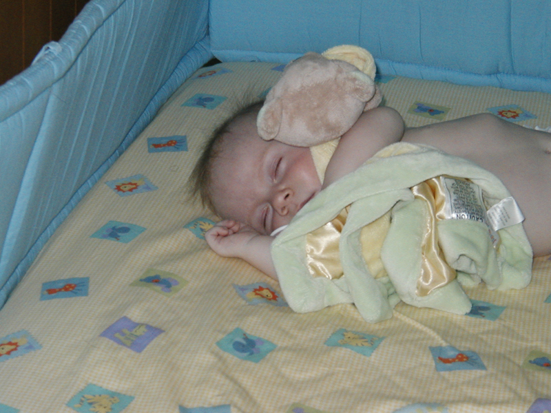 Picture 063
