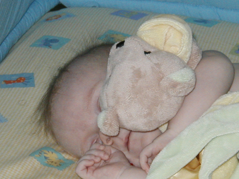 Picture 065