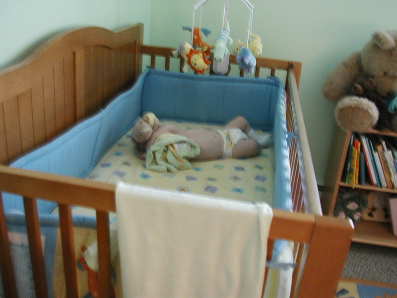 Picture 067