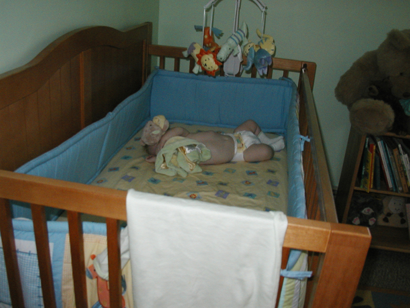 Picture 068