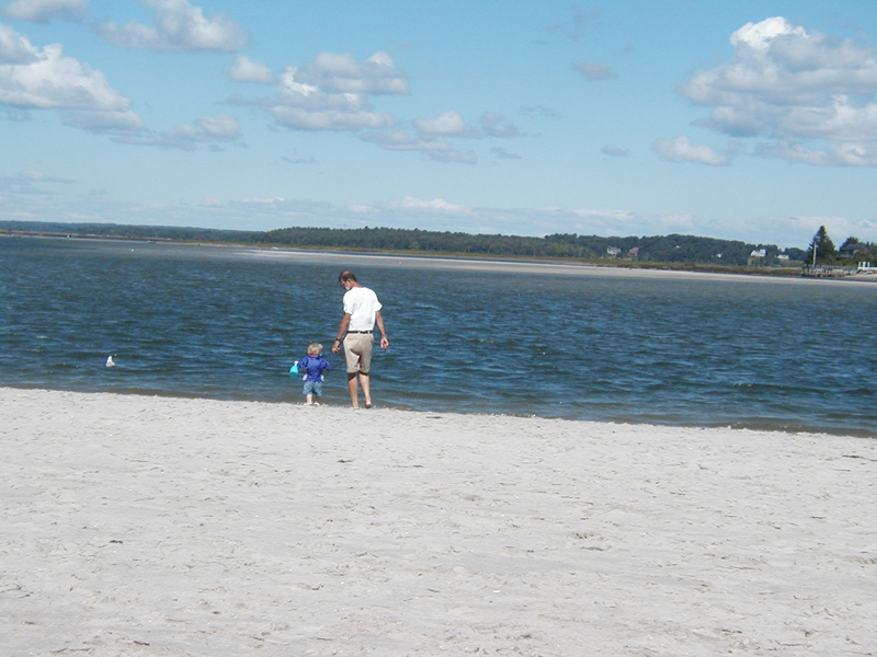 Picture 6177