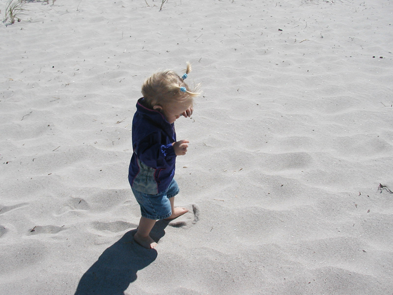 Picture 6211