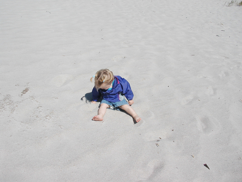 Picture 6216