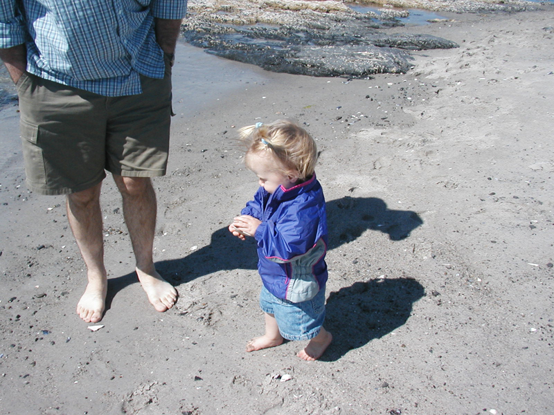 Picture 6226